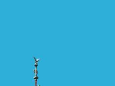 Wonen in Italië – van historische dorpen tot moderne steden. white, red, and green flag