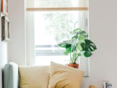 De Italiaanse huisstijl – Waar traditie en elegantie samenkomen beige puppy lying on brown textile